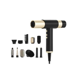 Professional Leafless Hair Dryer (Gold)