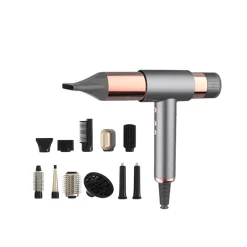 Professional Leafless Hair Dryer (Rose Gold)