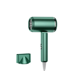 High Power Hair Dryer (Green)