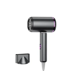 High Power Hair Dryer (Black)