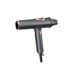 Beauty Merry High Speed Hair Dryer (Black)